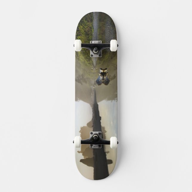 Skateboard Puesta de sol en Ruby Beach, Parque Nacional Olímp (Anverso)
