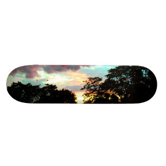 SKATEBOARD PUESTA DEL SOL