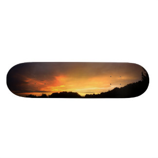 Skateboard Puesta del sol