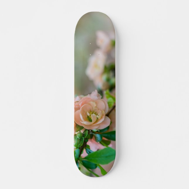 Skateboard Quince de Flor de Peach (Anverso )