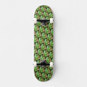 Skateboard Rana de árbol verde