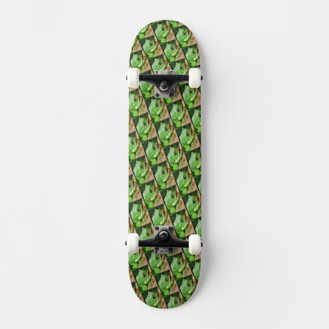 Skateboard Rana de árbol verde (Anverso)