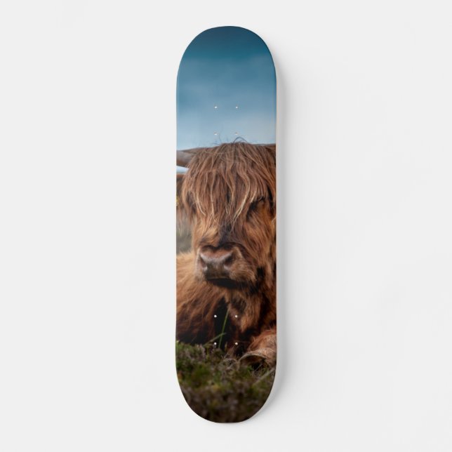 Skateboard Ranchero escocés de Bull del fonolocalizador de (Anverso)