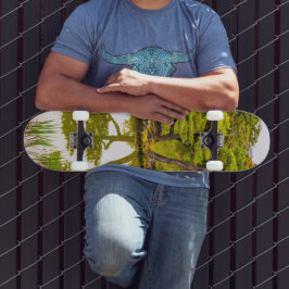 Skateboard Reflections