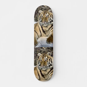 Skateboard Regalos de arte de los amantes de los tigres