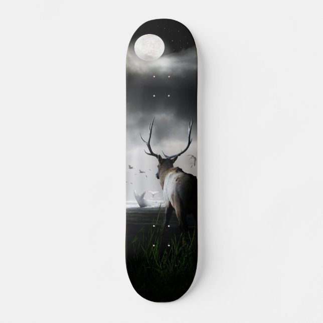 Skateboard Reloj de la ballena (Anverso)