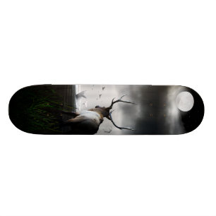 Skateboard Reloj de la ballena