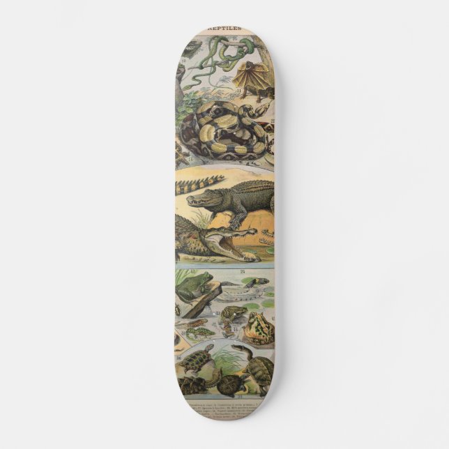 Skateboard Reptiles (Anverso)