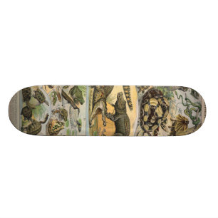 Skateboard Reptiles
