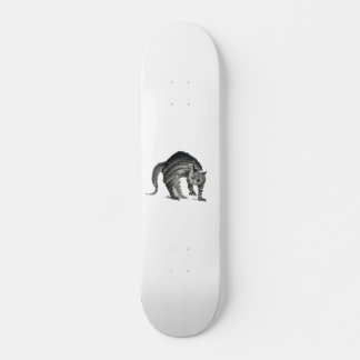 Skateboard resumen de gato asustado