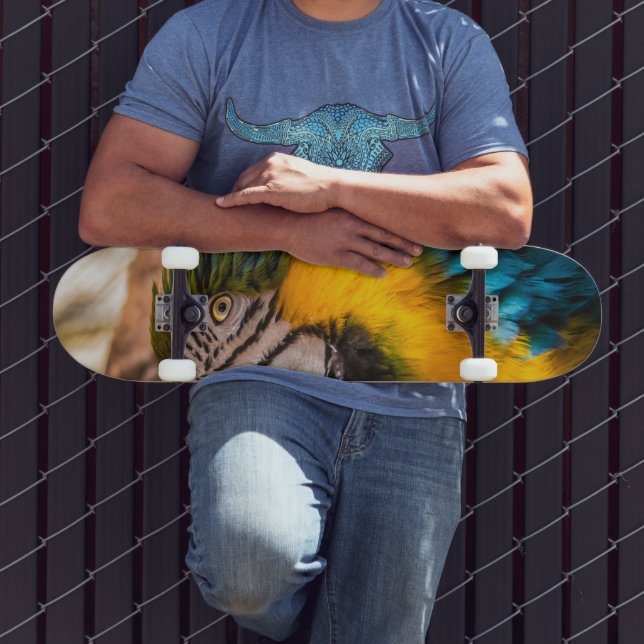 Skateboard Retrato de macao azul y amarillo (Exterior 3)