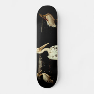 Skateboard Reunión de Fiestas Pelícanos en la ribera del río