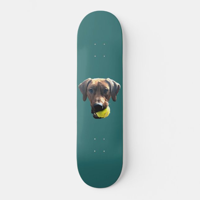 Skateboard Rhodesian Ridgeback (Anverso)