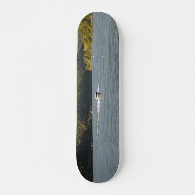 Skateboard Río Rin (Anverso )