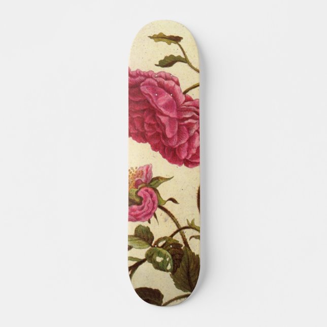 Skateboard Rosa de Holanda (Anverso )