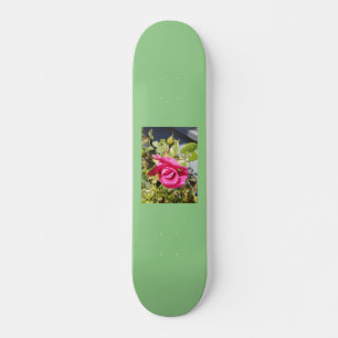 Skateboard Rosa Rosa #2, 73/7" Deck