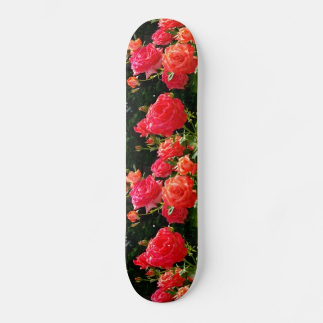 Skateboard Rosas de coral románticos (Anverso)