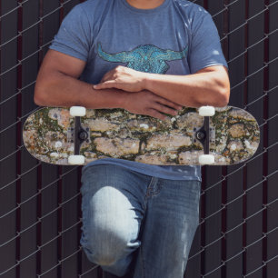 Skateboard Ruinas Mayas Pared