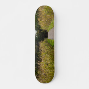 Skateboard Runge Walkway