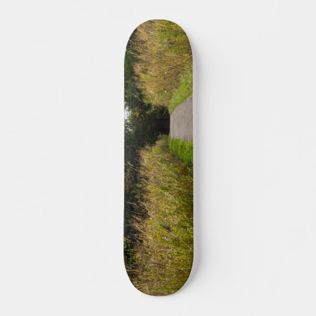 Skateboard Runge Walkway (Anverso )