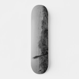 Skateboard Ruta de la playa