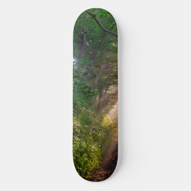 Skateboard Ruta forestal (Anverso)