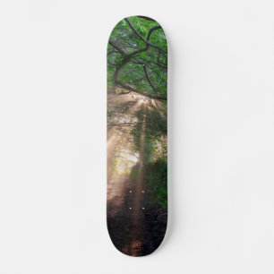 Skateboard Ruta forestal