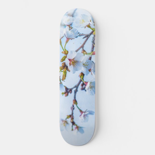 Skateboard Sakura - Florecimiento de cerezo japonés (Anverso)