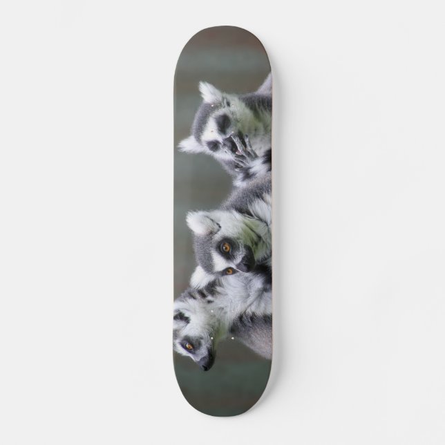 SKATEBOARD SALTO DE LEMURS (Anverso)