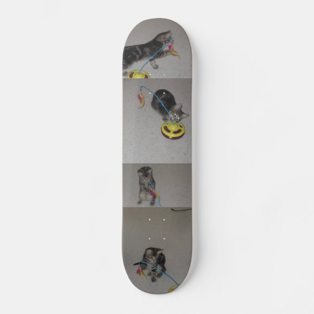 SKATEBOARD SASHA (Anverso)