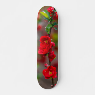 Skateboard Scarlet Line