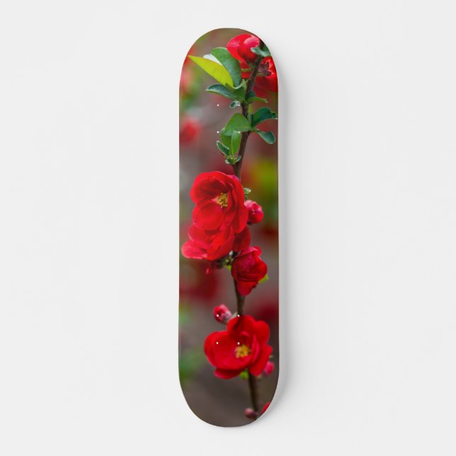 Skateboard Scarlet Line (Anverso )