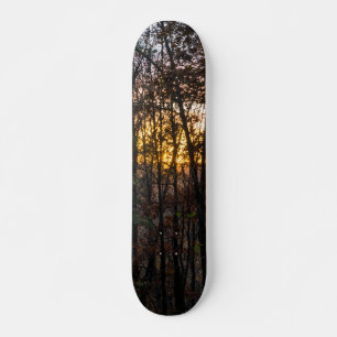 Skateboard SDC Woody Sunset