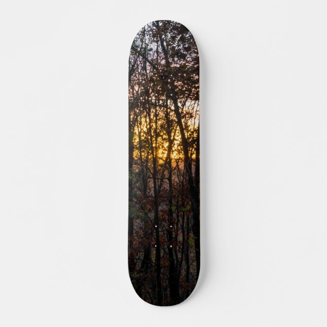 Skateboard SDC Woody Sunset (Anverso )