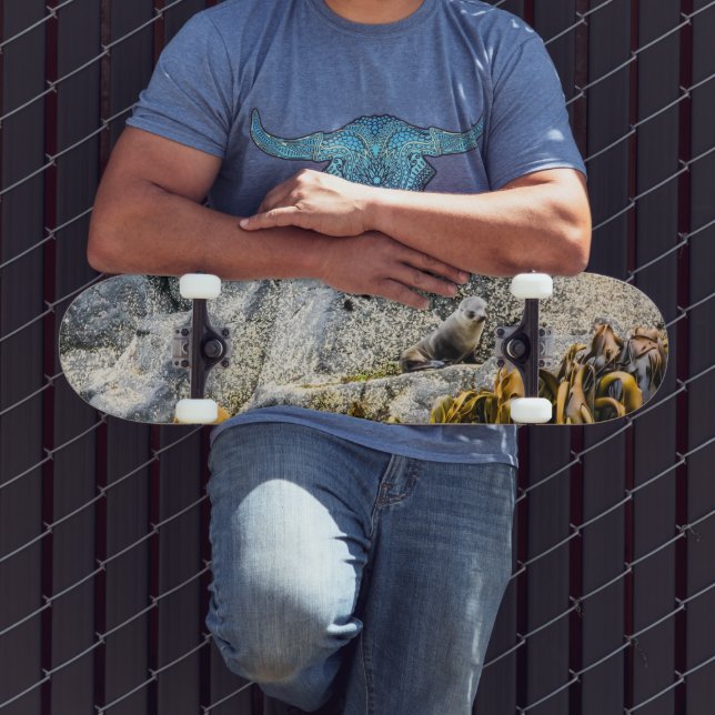 Skateboard Sello De Piel Joven En La Roca (Exterior 3)