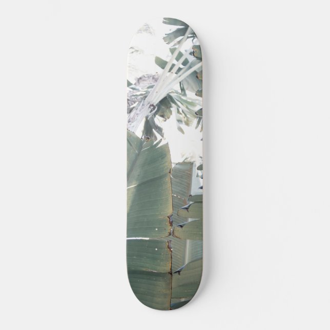 Skateboard Selva de selva 1. (Anverso)