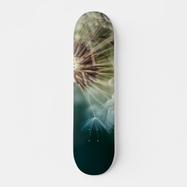 Skateboard - Semillas de Dandelion (Anverso )