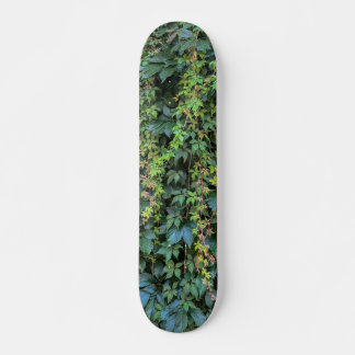 Skateboard Serene Green Ivy Wall Colgando Vinas Plantas