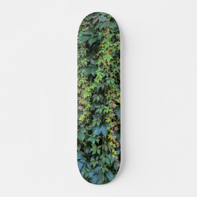 Skateboard Serene Green Ivy Wall Colgando Vinas Plantas (Anverso )