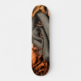 Skateboard Serpiente curtida