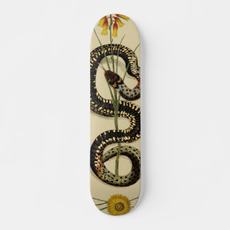 Skateboard Serpiente y flores silvestres en la arena