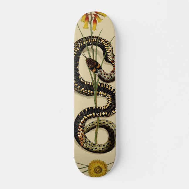 Skateboard Serpiente y flores silvestres en la arena (Anverso )