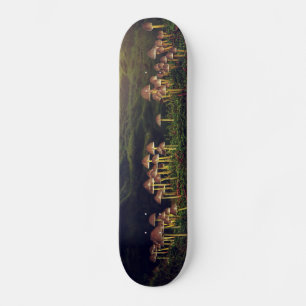 Skateboard Setas salvajes maduras en el bosque