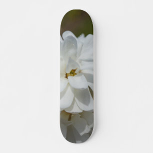 Skateboard Silky Magnolia