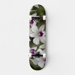 Skateboard Singapur (sánscrito para Ciudad León). Nacional 2