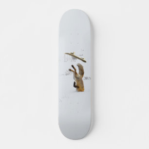 Skateboard Skater Fox