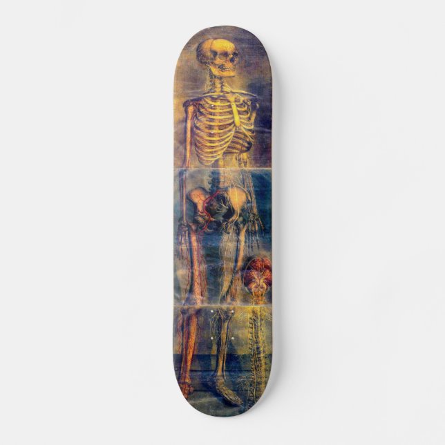 Skateboard Skeleton (Anverso)