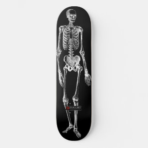 Skateboard Skelo 001