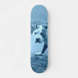 Skateboard Skyboard Blue Pit Bull
