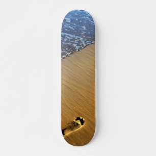 Skateboard Skyboard de los pies de la playa